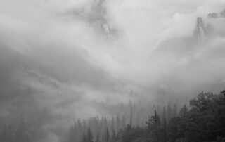 Black and white fine art photograph of a foggy morning in Yosemite Valley National Park.
