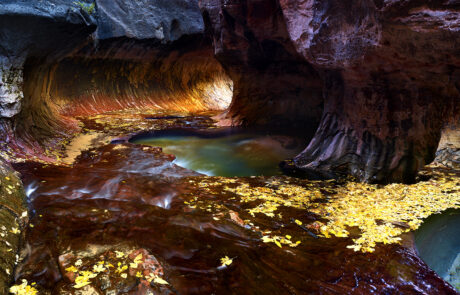 Fall colors in the amazing Subway of Zion National Park.