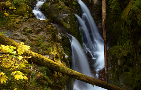 A beautiful nature photograph in Olympic National Park of Sol Duc waterfall.