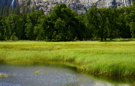 A beautiful Spring day in Yosemite National Park, photographing Yosemite Falls.