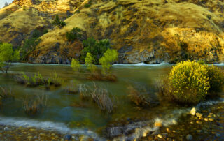Recorded water levels in California makes for a beautiful image of the Kings River