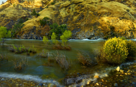Recorded water levels in California makes for a beautiful image of the Kings River
