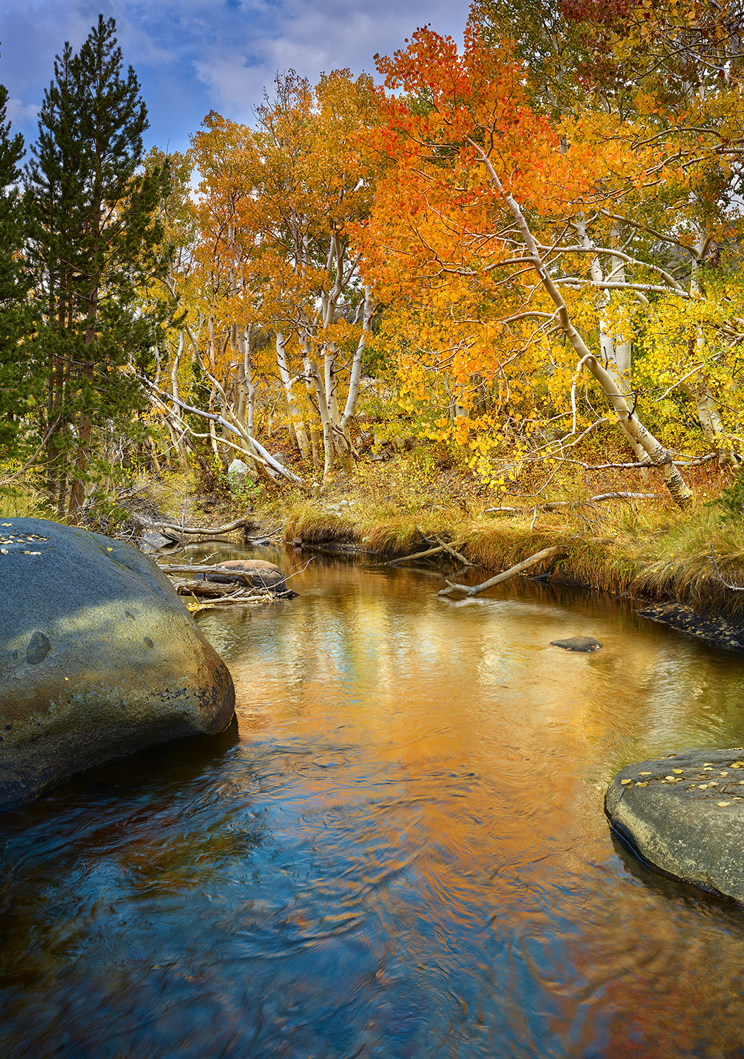 A serene creek reflecting the brilliant yellows and oranges of the aspen trees lining its banks.