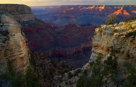 This stunning photograph captures the Grand Canyon's South Rim bathed in the soft, golden light of sunset. The interplay of shadows and light highlights the intricate layers of sedimentary rock, showcasing the vibrant reds, oranges, and muted purples that define this natural wonder.