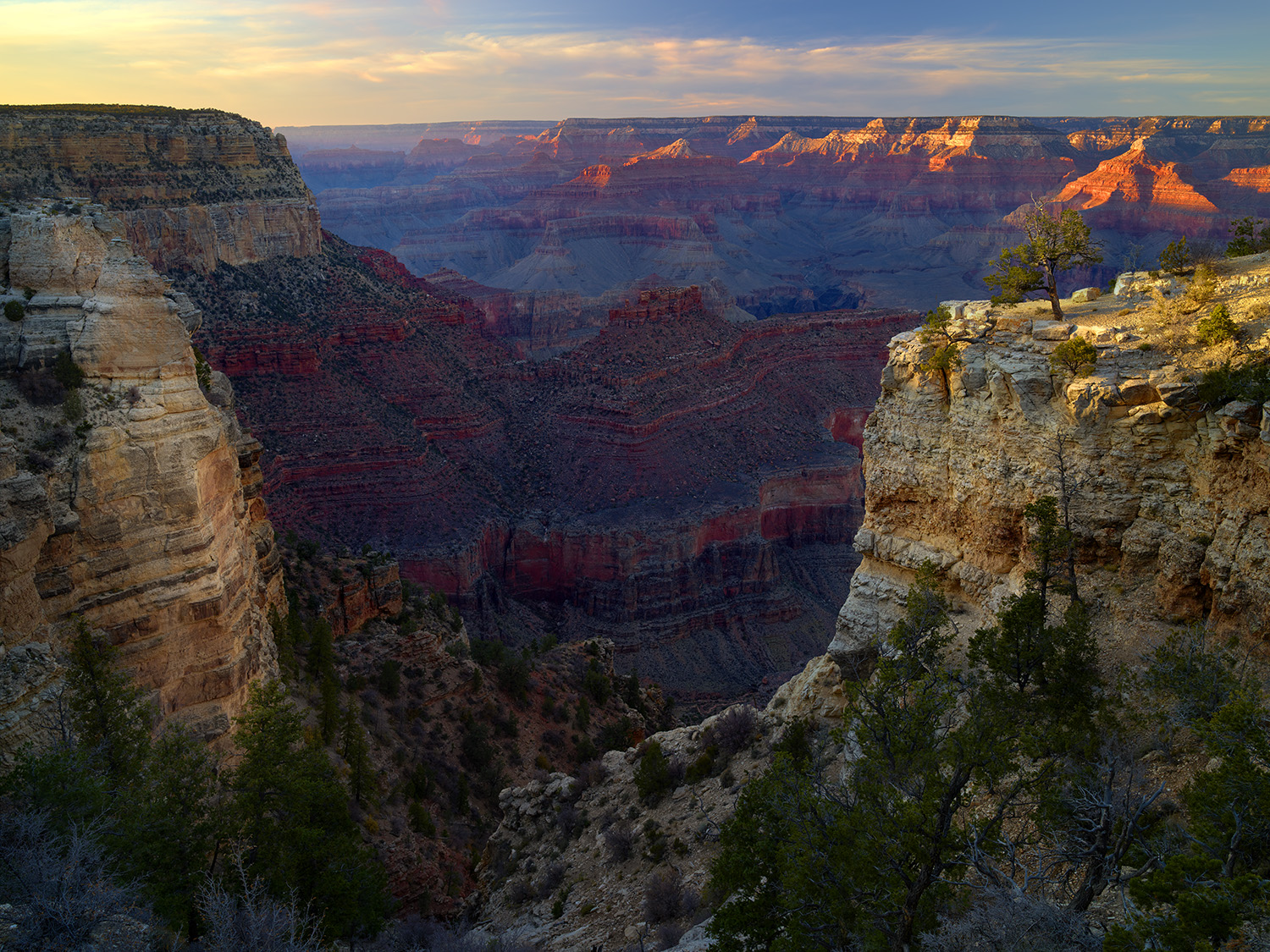 This stunning photograph captures the Grand Canyon's South Rim bathed in the soft, golden light of sunset. The interplay of shadows and light highlights the intricate layers of sedimentary rock, showcasing the vibrant reds, oranges, and muted purples that define this natural wonder.