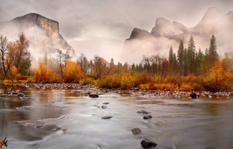 Yosemite National Park, a timeless treasure of dramatic cliffs, serene rivers, and vibrant autumn foliage, provided the perfect canvas for this image. Taken along the Merced River, this photograph showcases the park’s raw beauty at the end of fall, as the season transitions into winter. The golden hues of aspen and cottonwood trees, holding on to their last vibrant leaves, are juxtaposed against the looming granite monoliths veiled in mist, creating a dreamlike atmosphere.