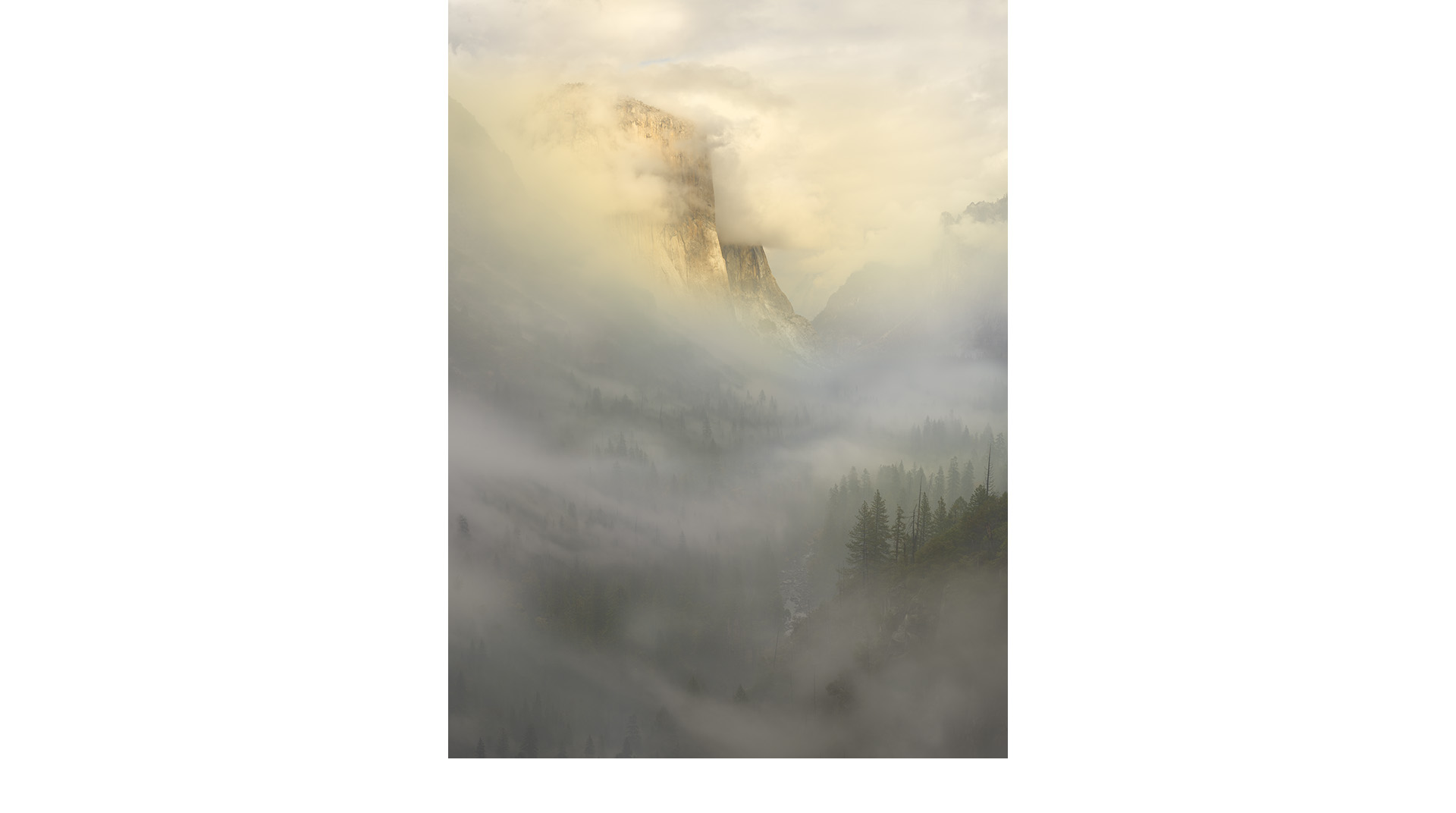 Award-winning photograph of Yosemite valley in the fog with sun just kissing El Capitan. Cheyne Walls