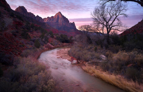 On a cold December morning in Zion National Park, I stood quietly along the banks of the Virgin River as autumn gave way to winter. The air carried that unmistakable stillness that only comes during a seasonal transition — when the last warmth of fall lingers in the canyon walls, yet winter is already whispering through the cottonwoods.