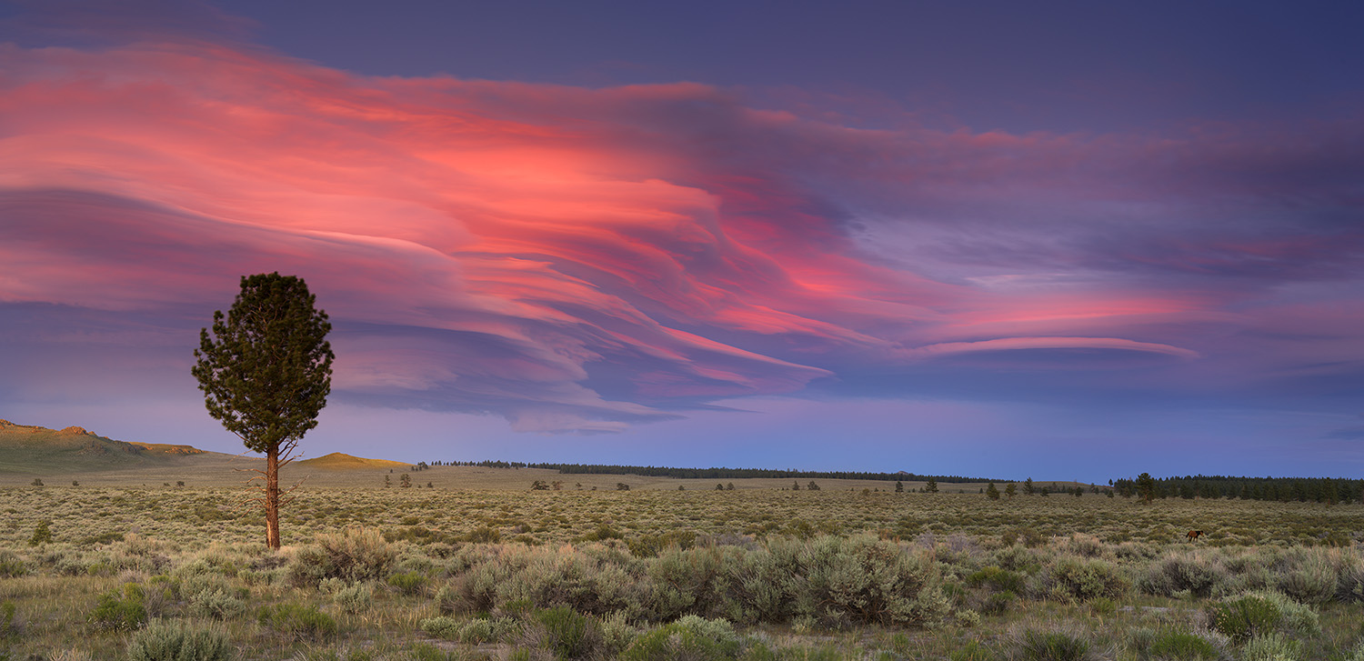 One of the most amazing sunset captured on camera.